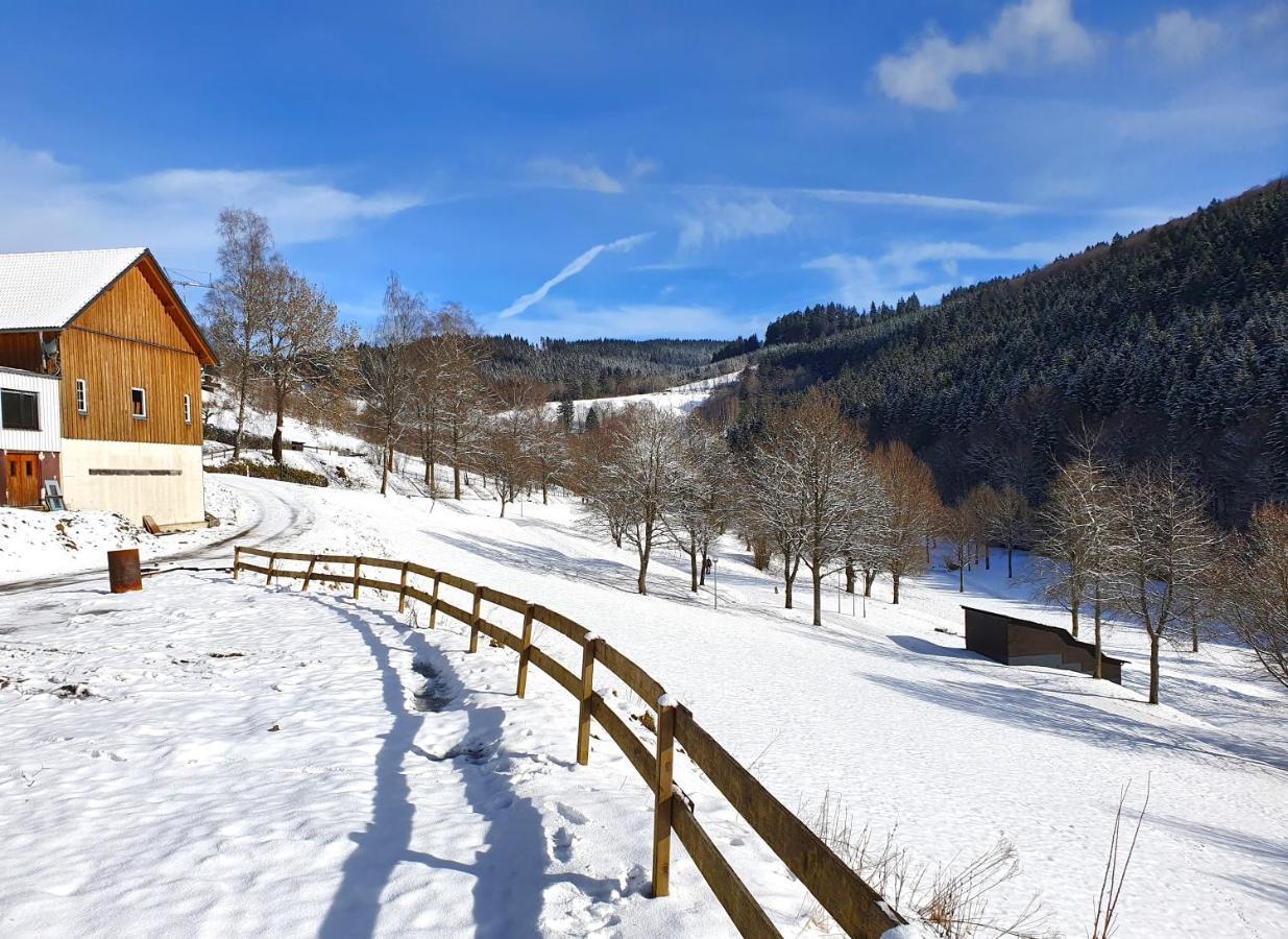 Ferienhaus Grimme - 350M2, 18 Betten - Mit Indoorspielplatz, Pool, Grosser Terrasse, Grill, Sauna, Kicker, Dart, Uvm - Ideal Fuer Familien Schmallenberg Exterior photo