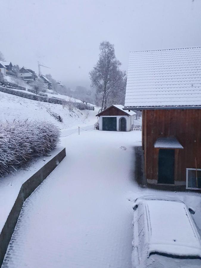 Ferienhaus Grimme - 350M2, 18 Betten - Mit Indoorspielplatz, Pool, Grosser Terrasse, Grill, Sauna, Kicker, Dart, Uvm - Ideal Fuer Familien Schmallenberg Exterior photo