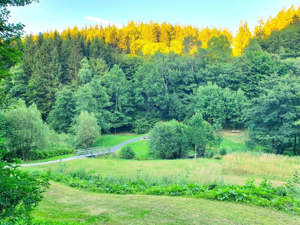 Ferienhaus Grimme - 350M2, 18 Betten - Mit Indoorspielplatz, Pool, Grosser Terrasse, Grill, Sauna, Kicker, Dart, Uvm - Ideal Fuer Familien Schmallenberg Exterior photo