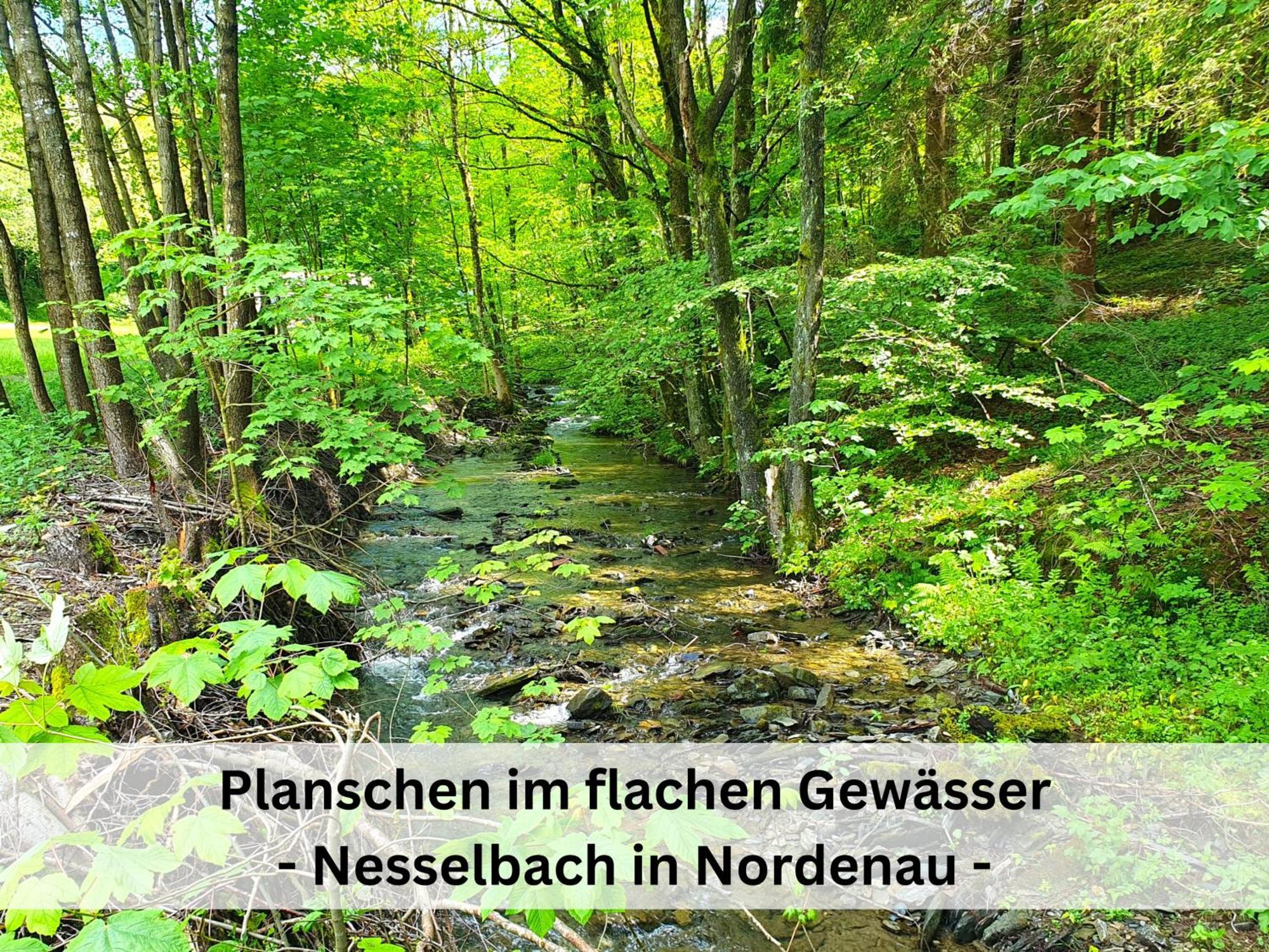 Ferienhaus Grimme - 350M2, 18 Betten - Mit Indoorspielplatz, Pool, Grosser Terrasse, Grill, Sauna, Kicker, Dart, Uvm - Ideal Fuer Familien Schmallenberg Exterior photo